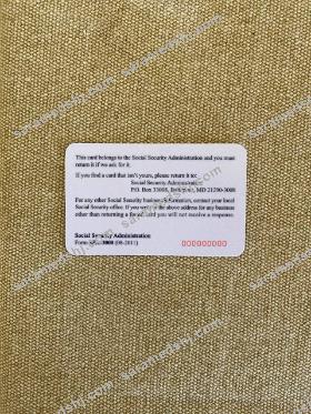 USA SSN photolook beige textile background BACK